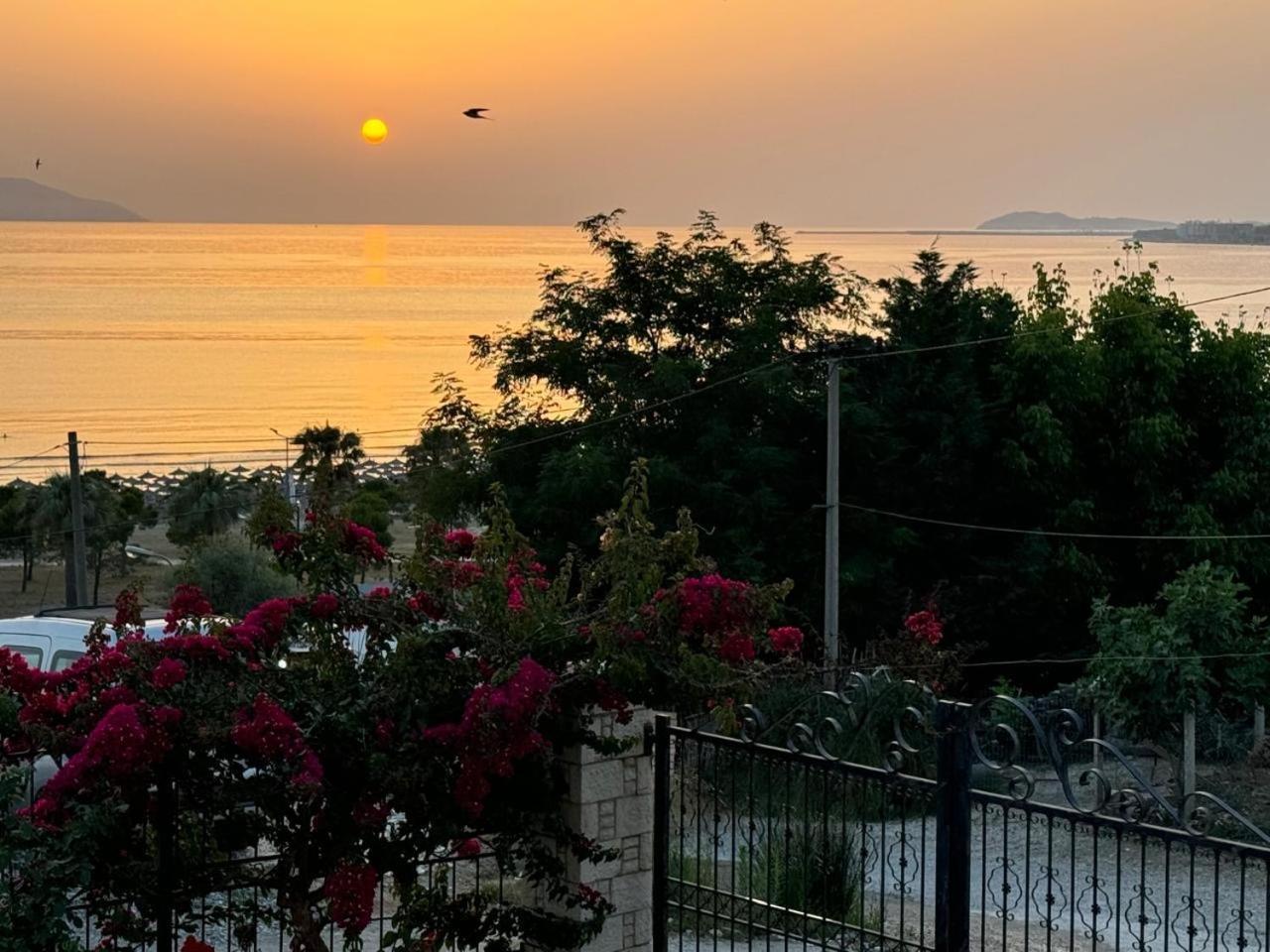 Voyage Villa Vlorë エクステリア 写真