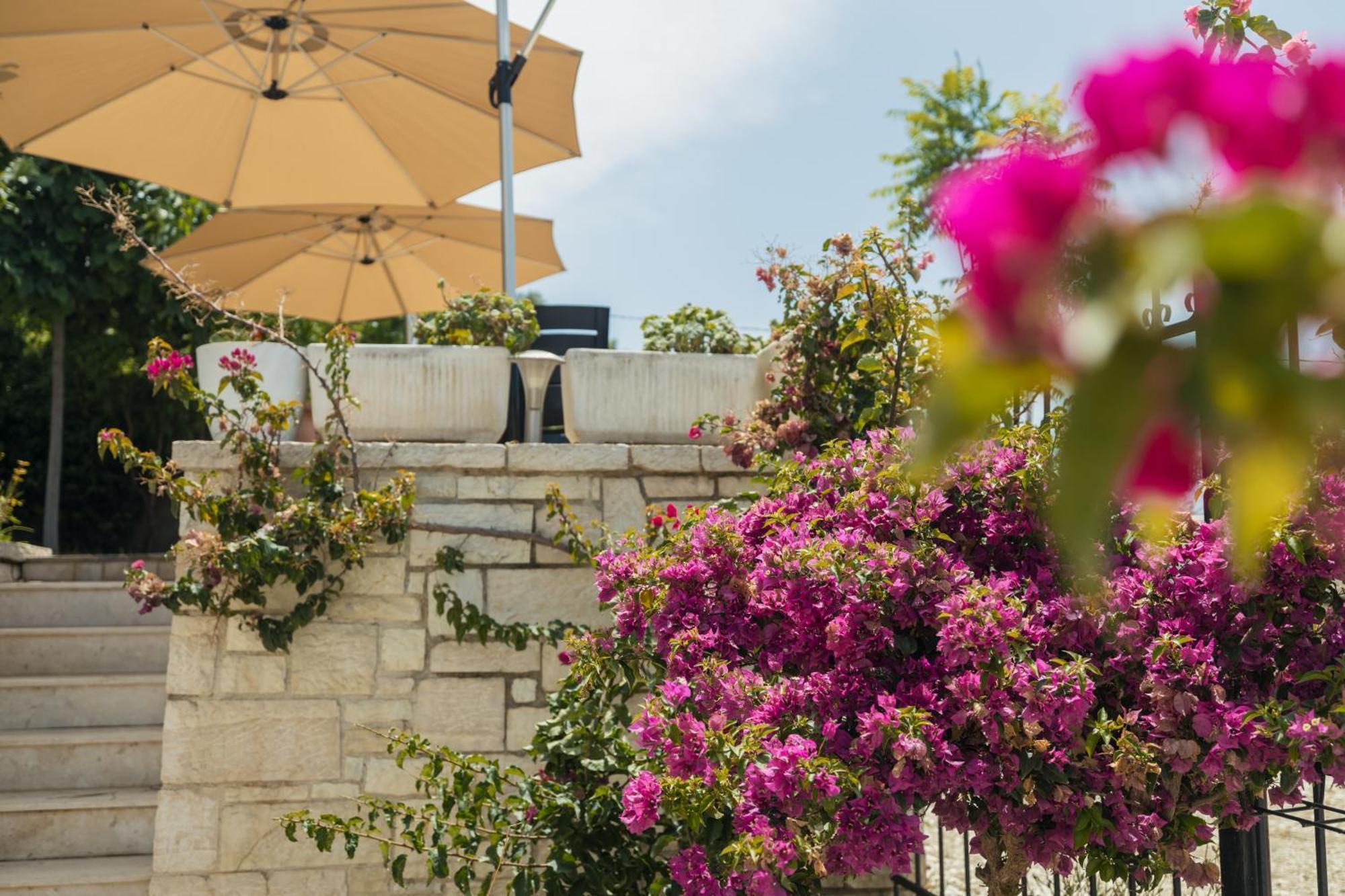 Voyage Villa Vlorë エクステリア 写真